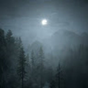 Meet your Posher, Jaden